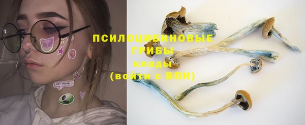 соль курить ск Михайловск