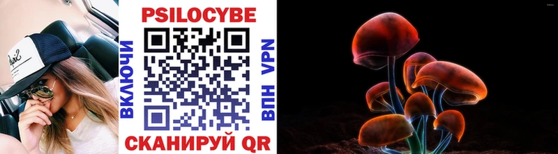 Галлюциногенные грибы мицелий  Купить закладки  Анадырь 